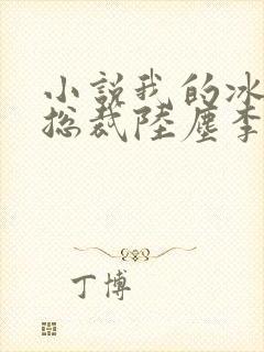 小说我的冰山女总裁陆尘李清瑶