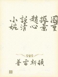 小说赵振国,宋婉清心意重回