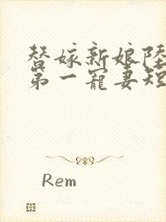 替嫁新娘陆总的第一宠妻短剧免费