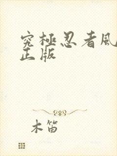 究极忍者风暴4正版