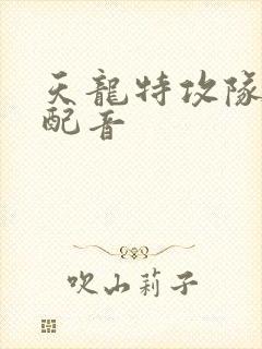 天龙特攻队国语配音
