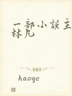 一部小说主角叫林凡