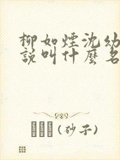 柳如烟沈幼楚小说叫什么名