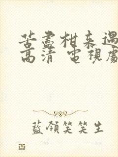 苦尽柑来遇见你高清 电视剧免费观看