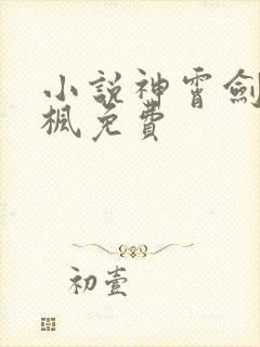 小说神霄剑宗林枫免费