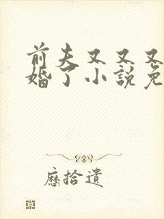 前夫又又又想复婚了小说免费阅读