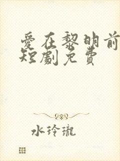 爱在黎明前升起短剧免费