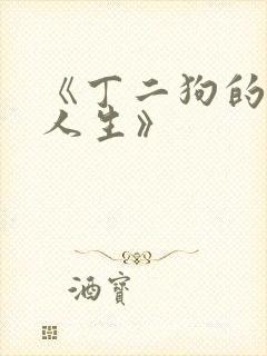 《丁二狗的逆袭人生》