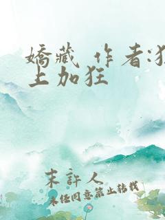 娇藏 作者:狂上加狂