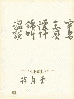 温锦怀王穿越小说叫什么名字