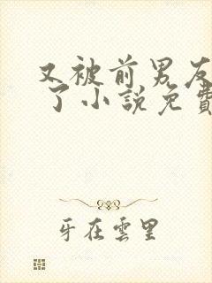 又被前男友盯上 了小说免费阅读全文笔趣阁