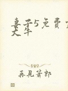 妻子5免费完整大牛