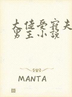 大佬受宠夫的双男主小说