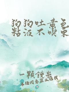 狗狗吐黄色泡沫粘液不吃东西怎么办