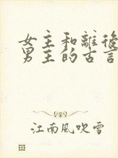 女主和离后嫁给男主的古言