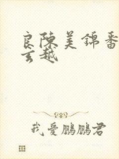 良陈美锦番外陈玄越