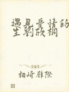 遇见爱情的利先生刘欣桐