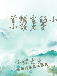 首辅家的小娇娘小说免费