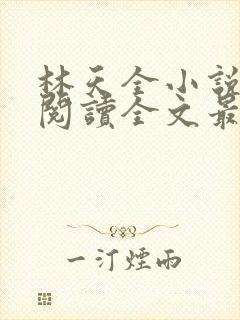 林天全小说免费阅读全文最新章节