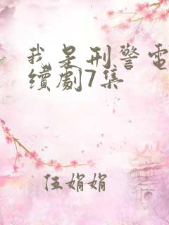 我是刑警电视连续剧7集