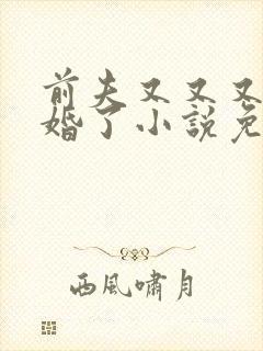 前夫又又又想复婚了小说免费阅读