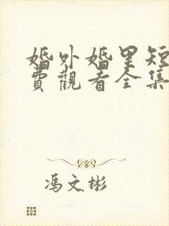 婚外婚里短剧免费观看全集完整