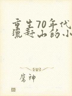 重生70年代打猎赶山的小说