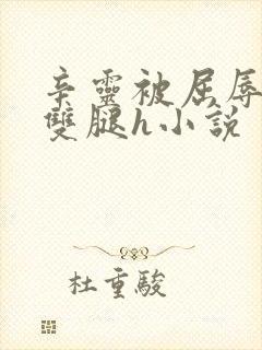 辛灵被屈辱打开双腿h小说