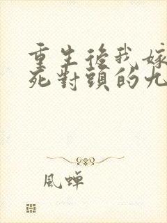 重生后我嫁给了死对头的九叔