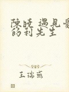 陈晓 遇见爱情的利先生