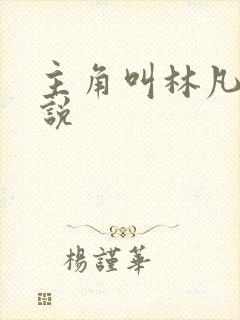 主角叫林凡的小说