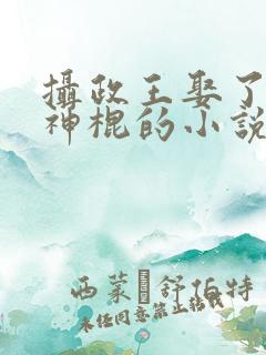 摄政王娶了个小神棍的小说