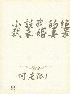 小说我的绝色总裁未婚妻最新章节