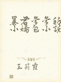 暴君爹爹的团宠小娇包小说在线收听