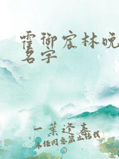 霍御宸林晚小说名字