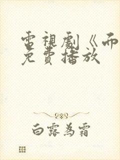 电视剧《面具》免费播放