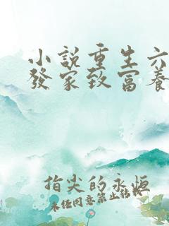 小说重生六零:发家致富养崽崽