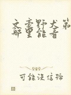 文豪野犬第二季哪里能看