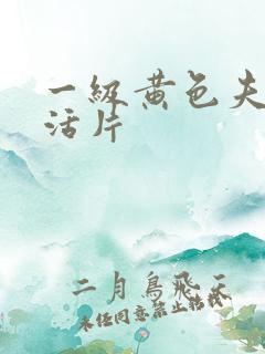 一级黄色夫妻生活片