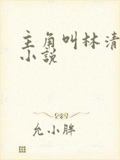 主角叫林清雪的小说