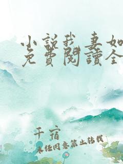 小说我妻如奴琳免费阅读全文