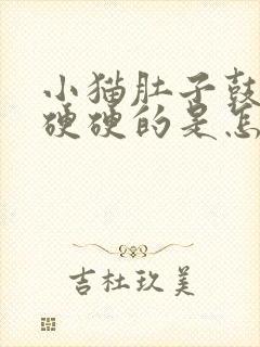 小猫肚子鼓鼓的硬硬的是怎么回事