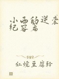 小西的逆袭人生纪容篇