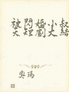 被闪婚小叔宠上天短剧大结局