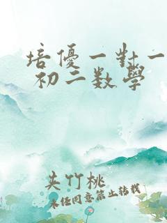 培优一对一辅导 初二数学