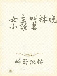 女主叫林晚星的小说名