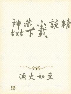 神藏小说精校版txt下载