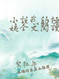 小说我的极品小姨全文阅读