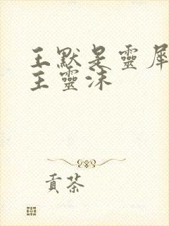 王默是灵犀阁公主灵沫