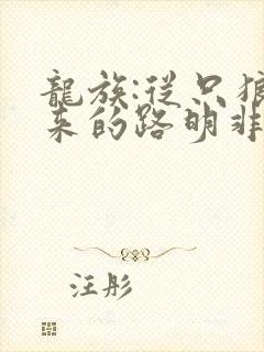 龙族:从只狼归来的路明非小说网